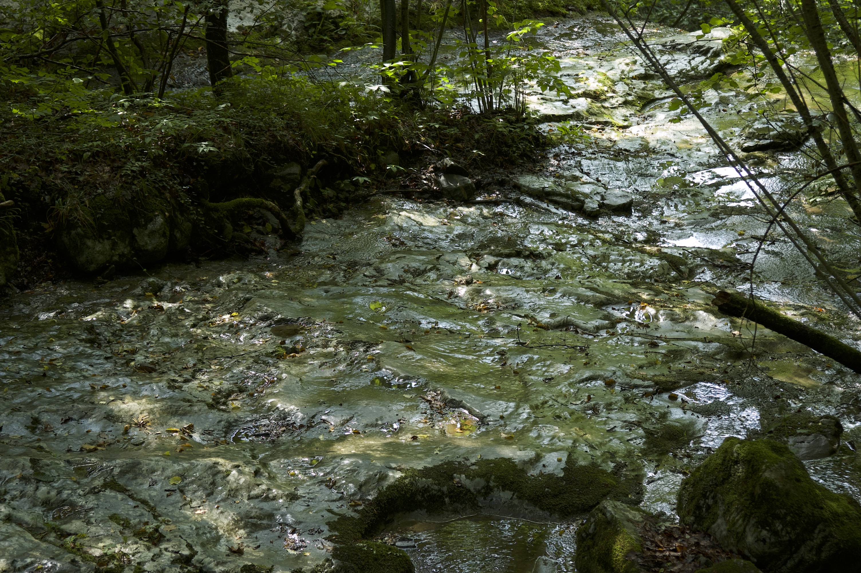 mountain-water.jpeg